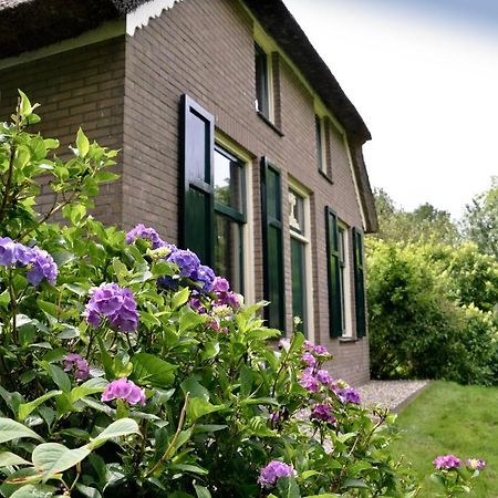 Bij Ons Op 20 Bed & Breakfast Nijeveen Exterior foto