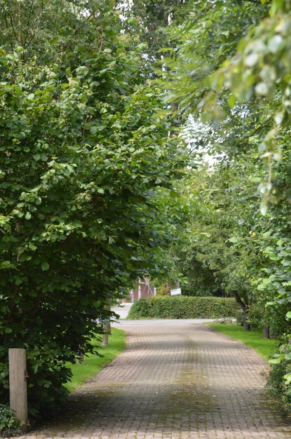 Bij Ons Op 20 Bed & Breakfast Nijeveen Exterior foto